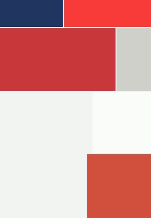 fotografia 8 _ mondrian 2